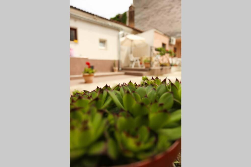 Charming Apartment In Town Center Pula Extérieur photo